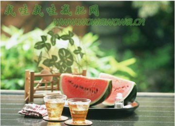 我哇减肥药排行榜推荐夏季水果减肥食谱西瓜