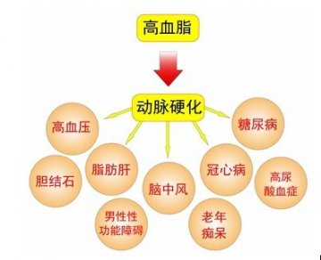螺旋藻，对抗三高的“绿衣”卫士