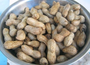 8类人千万少吃花生 小心要命