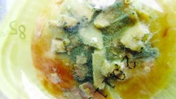 16天前买的月饼竟长绿毛 店方拒不道歉让人心寒