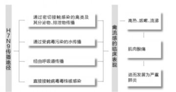 北京现首例甲型H1N1流感死亡病例 死者身患肿瘤