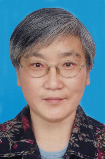 十八大代表——王争艳