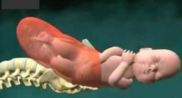 图解婴儿出生全过程