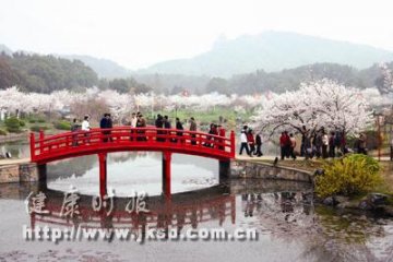日本花粉症与中国沙尘无关