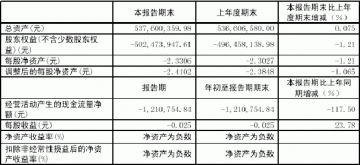 上海中西药业股份有限公司2005第一季度报告（节录）