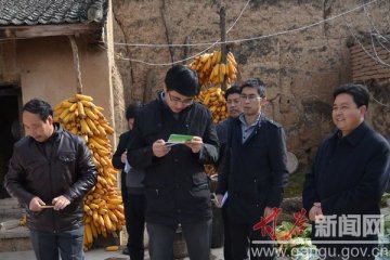 牛力强深入各乡镇调研农村低保和医疗救助工作