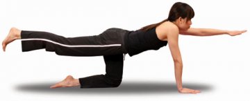 精典瑜珈：Bidalasana 猫式Cat图