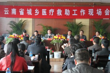 全省城乡医疗救助工作现场会议在永平县召开