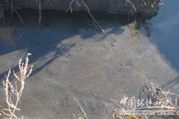内蒙古玖龙兴安纸业臭气弥漫全城 环评被指违