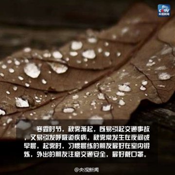 秋季寒露慎防哮喘与过敏