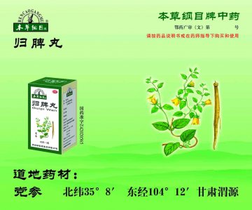 归脾丸-官方高清创意广告(鄂药广审(文)第2013010020号)