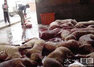 11省破获病死猪贩售网 扣劣质猪肉千吨