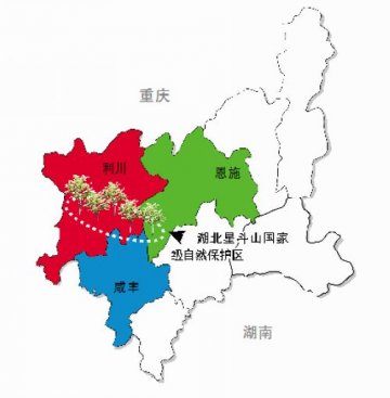 利川红茶涉嫌虚假宣传