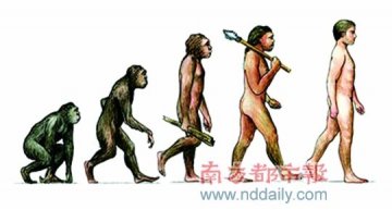 人类进化进化9大副作用