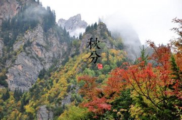 图说二十四节气 美到令人窒息