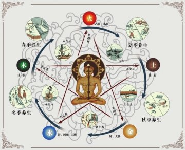 顺时养生