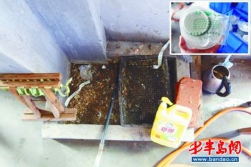 一桶洗洁精刷出消毒餐具 入行门槛低监管成难题