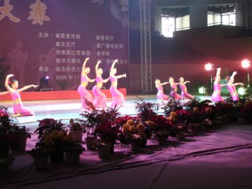校大学生艺术团在省第五届大学生艺术节校园舞蹈大赛获奖
