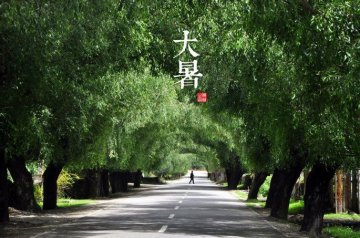 图说二十四节气 美到令人窒息