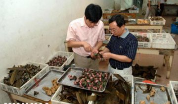 节日不断 谁来监管节日性食品的回收黑洞？
