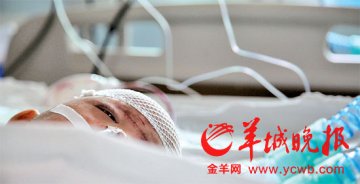 女童被两车碾过追踪：两个冷血司机均已归案