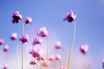 春季，谨防过敏发生