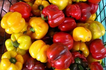 饮食养生：专家揭秘11个最权威防癌秘诀