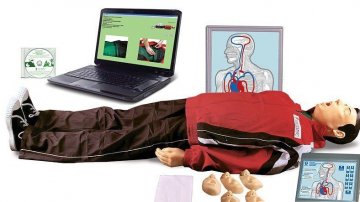 揭秘医用人体模型制作全过程