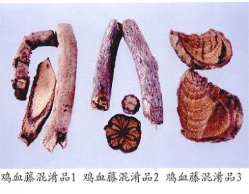 鸡血藤混淆品（1）--山鸡血藤（Shanjixueteng）