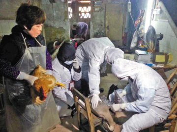 广东省H7N9病例增至9例