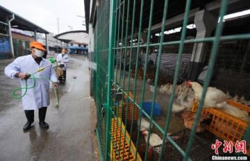 全国18例人感染H7N9禽流感确诊病例 6人死亡