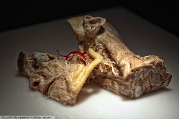 头部肌肉