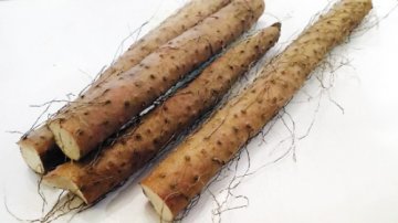 春季饮食要注意：养好脾胃 生发阳气