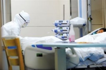 世卫组织：黄浦江死猪与人感染H7N9无关