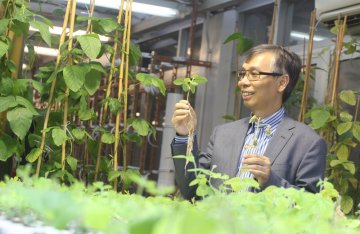 中大破解大豆耐盐基因