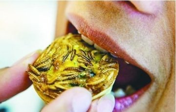 荷兰人爱吃肉虫派