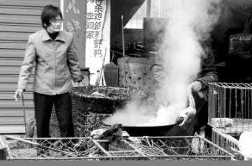 缺德商贩屡禁不止沥青拔毛危害健康