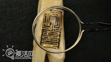 让牙齿自己说话 普林斯顿大学开发传感器检测身体健康