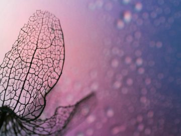 空军总医院：血压降到120mmHg，真能救命吗？