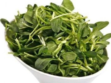 最能吸脂的15种食物 冻豆腐效果最好