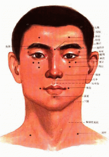 头颈部穴位（前面）