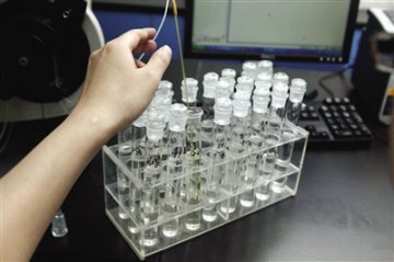 北京市工商局抽检粽子 60种端午粽子“体检”全合格