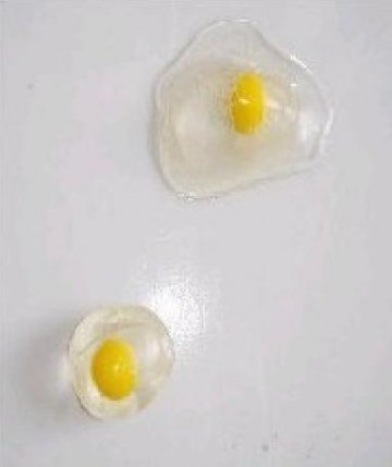 发泄鸡蛋