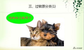皮肤过敏