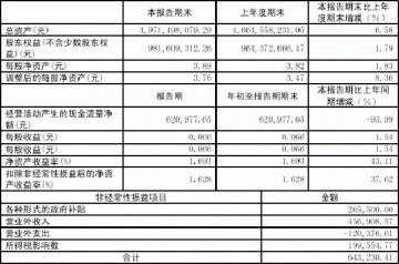 重庆太极实业（集团）股份有限公司2005第一季度报告（节录）