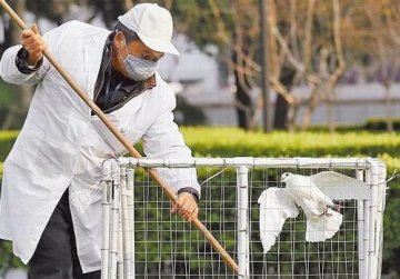 大陆H7N9禽流感增至21例 台湾提升疫情等级