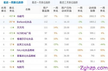 2013年1月份B2C化妆品类top10排行榜
