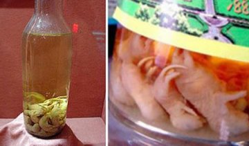 另类美食大盘点 你敢吃吗
