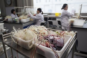 揭秘：走进人类血液仓库