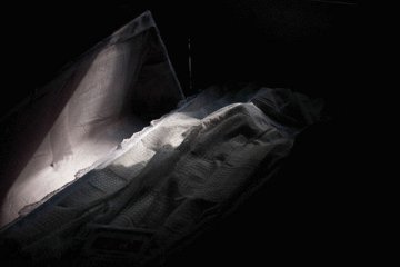 传染病死亡率排行榜中，肺结核排名第二